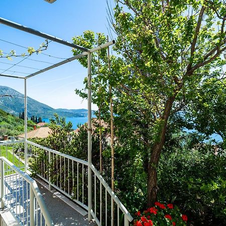 Apartments Klis Mlini Kültér fotó